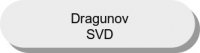 Dragunov SVD