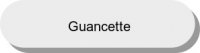 Guancette