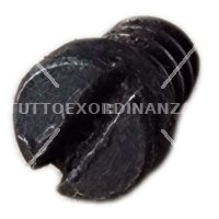 VITE BLOCCO ANELLO SICURA VETTERLI 1870/87/15