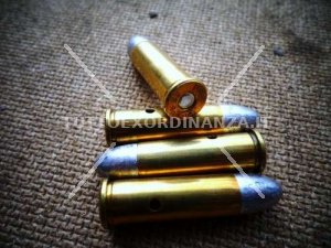 CARTUCCIA CAL. 38 SPECIAL INERTE DISATTIVATA